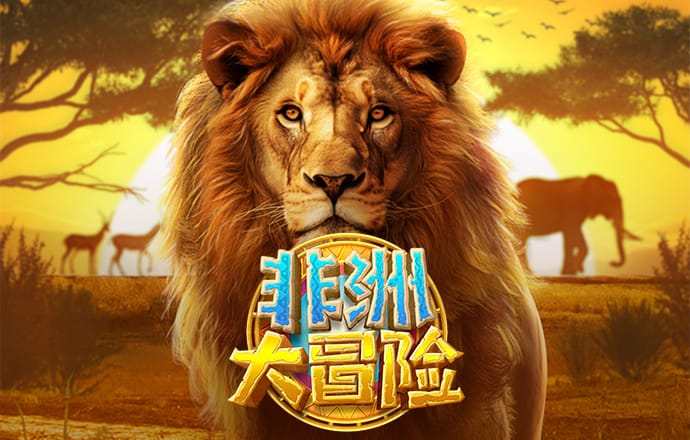 bobty体育官网入口