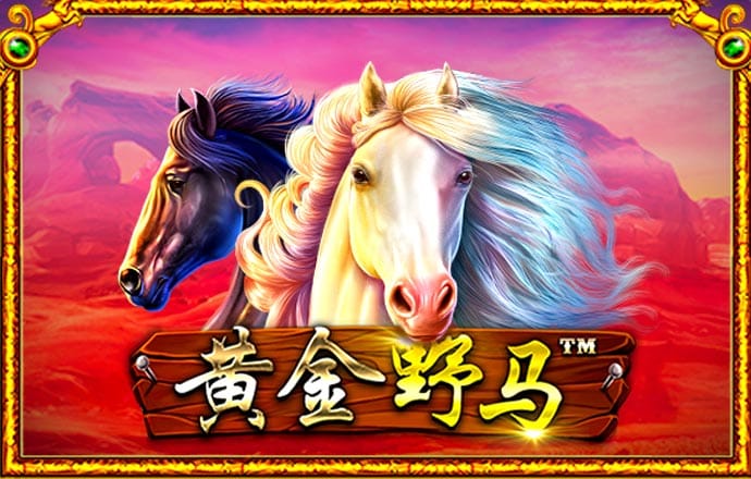 飞亚体育网页版