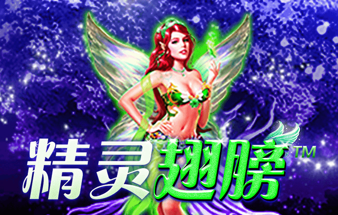 金年华体育平台
