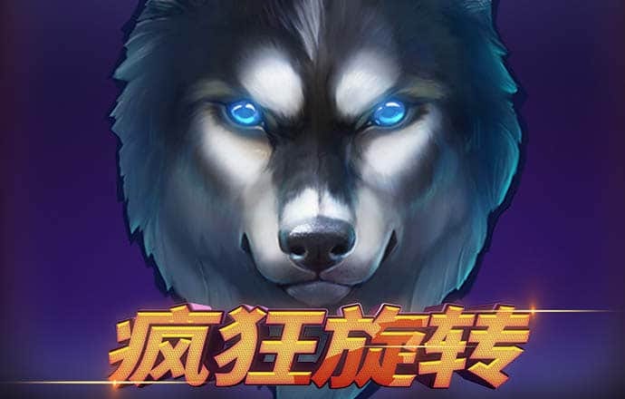 赛酷体育官网app